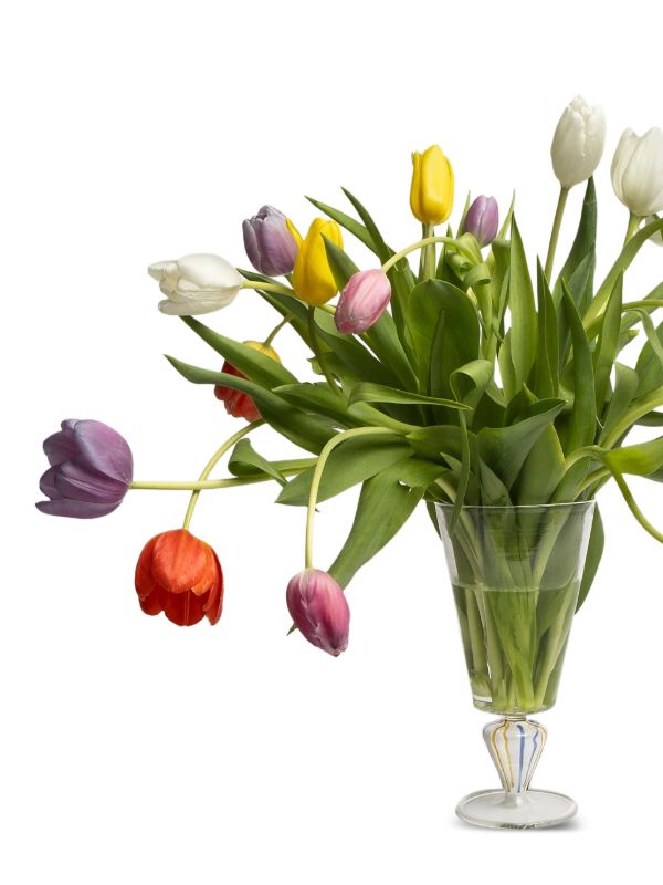 Gohar World Coloured-stem Vase | Browns Vases