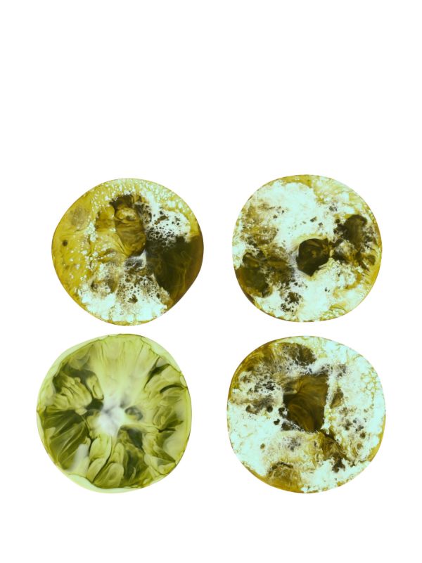 Dinosaur Designs Boulder Coasters Set | Browns Decorative Objects