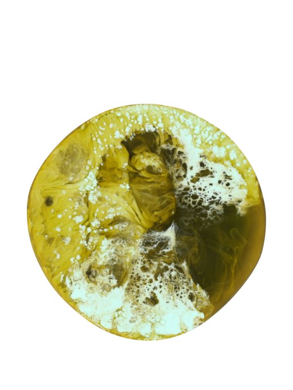 Dinosaur Designs Boulder Coasters Set | Browns Decorative Objects