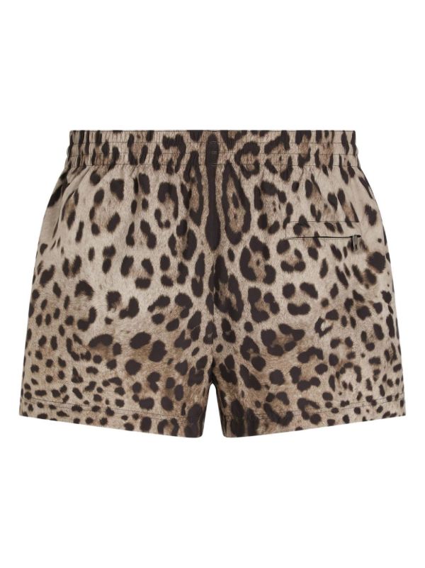 Dolce & Gabbana Leopard-Print Shorts | Browns Short & Mini Shorts