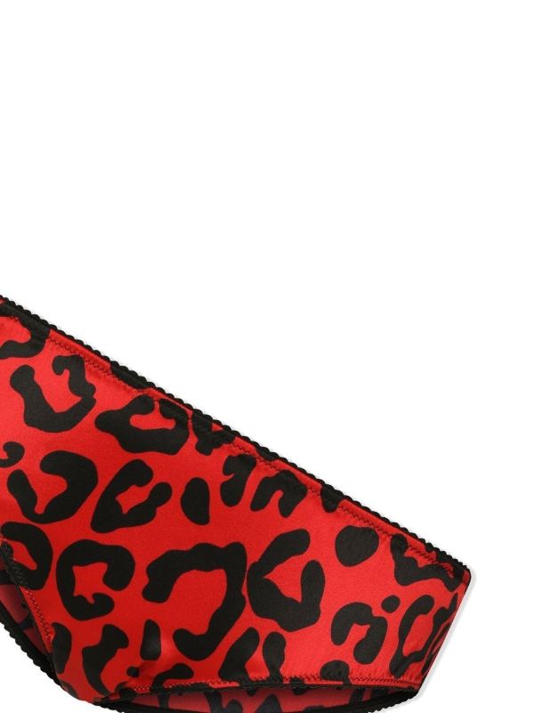 Dolce & Gabbana Red Leopard Print Silk Briefs | Browns Panties