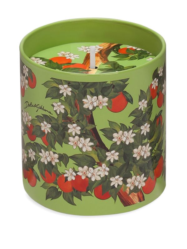 Dolce & Gabbana Sicilian Orange Candle (380g) | Browns Candles