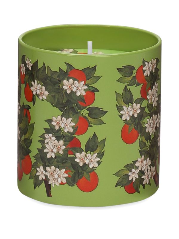 Dolce & Gabbana Sicilian Orange Candle (380g) | Browns Candles
