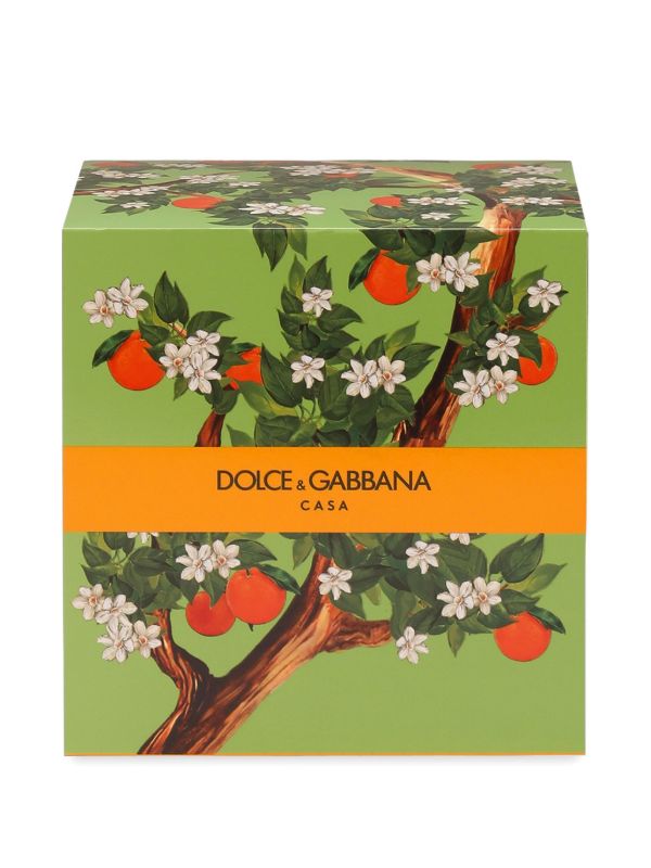 Dolce & Gabbana Sicilian Orange Candle (380g) | Browns Candles