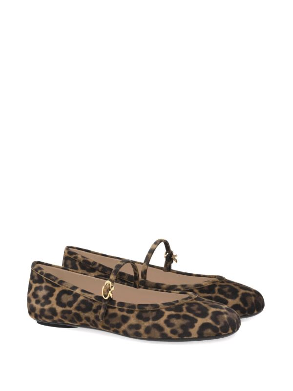 Gianvito Rossi Brown Carla Leopard-Print Suede Ballet Pumps | Browns Ballerina Shoes